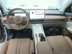 Wuling Bingo S 325km Flagship - ფოტო 9
