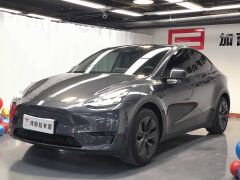Tesla Model Y 554km Rear-Wheel Drive Edition - ფოტო 1