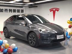 Tesla Model Y 554km Rear-Wheel Drive Edition - ფოტო 3