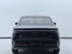 BYD Seal DM-i 1.5L 121km Luxury - photo 13