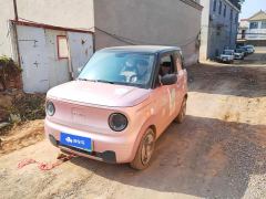 Geely Panda Mini 200km Agile Panda - ფოტო 1