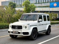 Mercedes-Benz Mercedes-AMG G 63 - photo 1