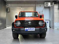 Tank 300 Off-Road Edition 2.0T Conqueror - ფოტო 19