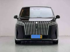 Great Wall WEY Shanshan New Energy Four-Wheel Drive Executive Extended Version - фото 2