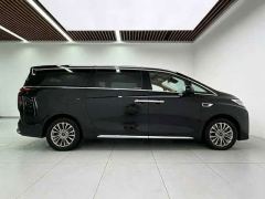 Great Wall WEY Shanshan New Energy Four-Wheel Drive Executive Extended Version - фото 4