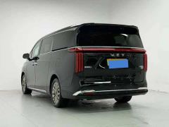 Great Wall WEY Shanshan New Energy Four-Wheel Drive Executive Extended Version - фото 5