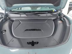 Arcfox Alfa T 688E Forest Edition 160kW - ფოტო 19