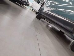 Arcfox Alfa T 688E Forest Edition 160kW - ფოტო 20