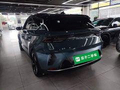 Arcfox Alfa T 688E Forest Edition 160kW - ფოტო 4