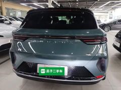 Arcfox Alfa T 688E Forest Edition 160kW - ფოტო 5