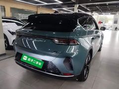 Arcfox Alfa T 688E Forest Edition 160kW - ფოტო 6