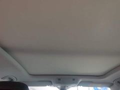 Volkswagen Magotan 2 Million Units Commemorative Edition 330TSI DSG Luxury - photo 17