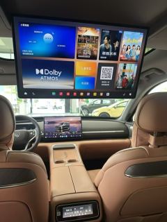 Leapmotor D99 EREV 480 Premium Edition - ფოტო 8