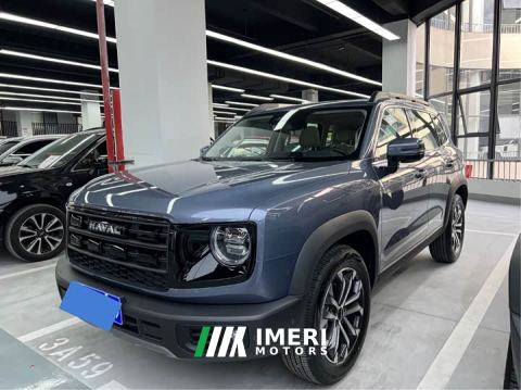 2025 Great Wall Dachshund 1.5T DCT Border Collie Edition - car from China
