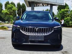 Voyah FREE 475km AWDEVLuxury - ფოტო 2