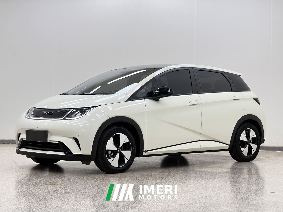 BYD Dolphin 420km Stylish Edition - ავტომობილი ჩინეთიდან