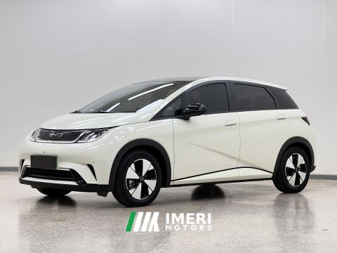 2023 BYD Dolphin 420km Stylish Edition - ავტომობილი ჩინეთიდან