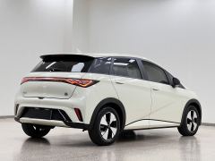 BYD Dolphin 420km Stylish Edition - ფოტო 6