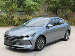 BYD Destroyer 05 Glory Edition DM-i 55KM Luxury - photo 1
