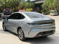 BYD Destroyer 05 Glory Edition DM-i 55KM Luxury - photo 9