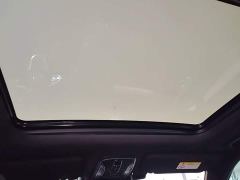 GAC Aion GS8 Pioneer Series 2.0T GDI FWD Luxury Smart Connected Edition 7-Seater - photo 17