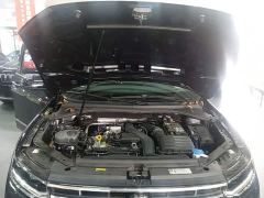 Volkswagen Tiguan L Outstanding Edition 300TSI Automatic Two-Wheel Drive Dragon Ascendant Version - фото 19
