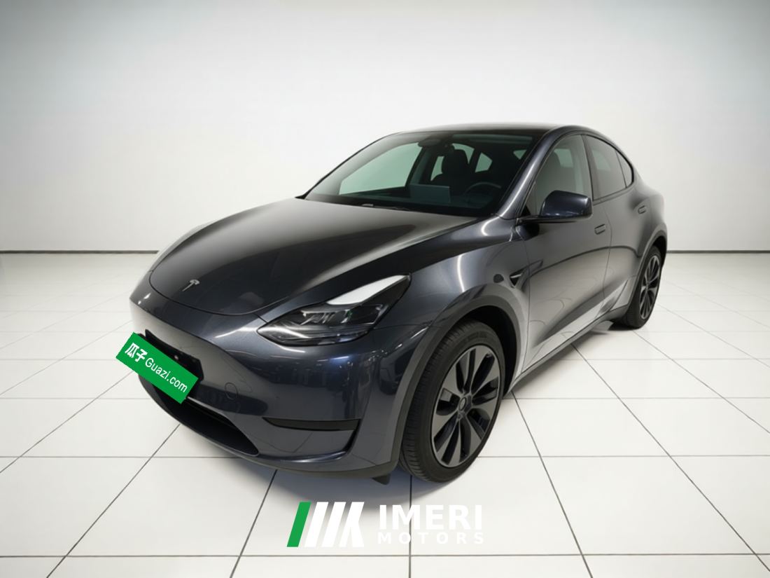 Tesla Model Y 554km Rear-Wheel Drive Edition - автомобиль из Китая