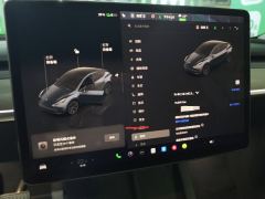 Tesla Model Y 554km Rear-Wheel Drive Edition - фото 8