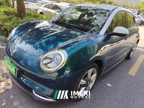2021 ORA Good Cat 400km Standard Range Athena Edition LFP Battery - автомобиль из Китая