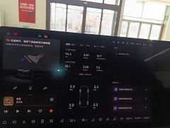 Li Auto L8 Pro - ფოტო 11