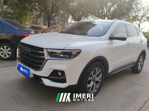 2021 Haval H6 Guochao Edition 1.5T 2WD Champion Edition - автомобиль из Китая