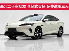 BYD Seal 07DM-i 1.5L 135km Luxury Edition - photo 1