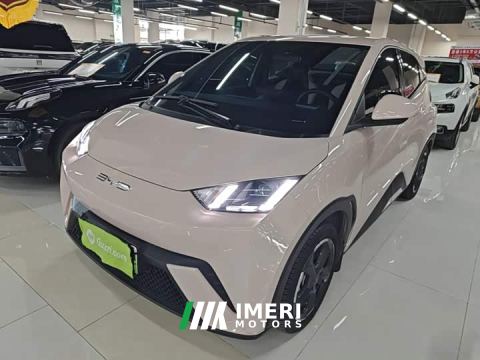 2024 BYD Seagull Flying Edition - ავტომობილი ჩინეთიდან