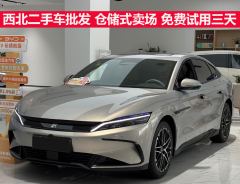 BYD Han EV Smart Drive Edition 705km Premium Version - photo 1