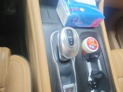 Voyah Dreamer Edition 1.5T 82km Edition Smart 7 - ფოტო 10