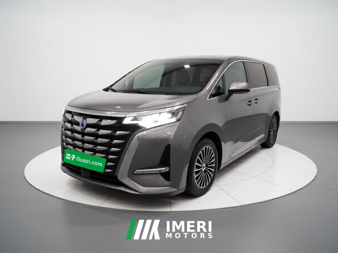 Denza D9 DM-i 1.5T 180km AWD Version 7 - car from China