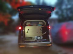 Denza D9 DM-i 1.5T 180km AWD Version 7 - photo 20