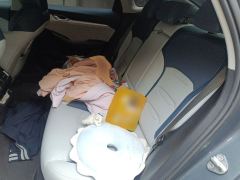 Geely Xingui Xingrui 2.0T Prestigious Edition - ფოტო 18