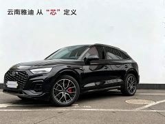 Audi Q5L Sportback quattro 45th Anniversary Heritage Edition 45 TFSI Luxury Edition - photo 1