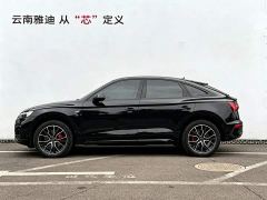 Audi Q5L Sportback quattro 45th Anniversary Heritage Edition 45 TFSI Luxury Edition - photo 3