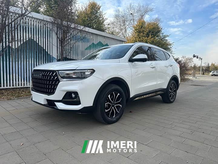Haval H6 National Trend Edition 1.5T Automatic Urban Version - ავტომობილი ჩინეთიდან