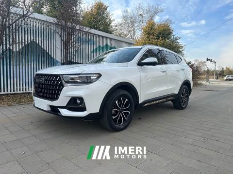 2023 Haval H6 National Trend Edition 1.5T Automatic Urban Version - ავტომობილი ჩინეთიდან
