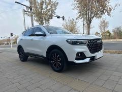 Haval H6 National Trend Edition 1.5T Automatic Urban Version - ფოტო 2