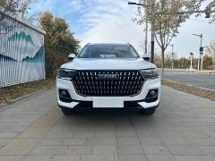 Haval H6 National Trend Edition 1.5T Automatic Urban Version - ფოტო 3