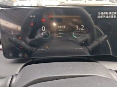 Changan Ruicheng PLUS 1.5T DCT Luxury - фото 11
