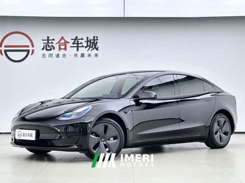 2023 Tesla Model 3 Rear-Wheel Drive - car from China