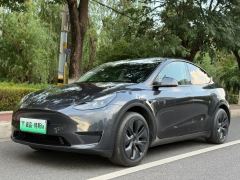Tesla Model Y 554km Rear-Wheel Drive Edition - ფოტო 1