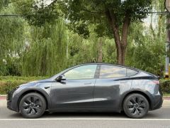 Tesla Model Y 554km Rear-Wheel Drive Edition - ფოტო 2