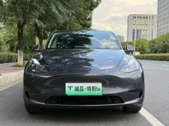 Tesla Model Y 554km Rear-Wheel Drive Edition - ფოტო 8