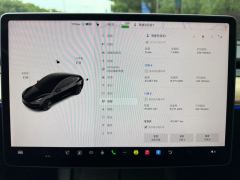 Tesla Model 3 556km Rear-Wheel Drive Edition - фото 15